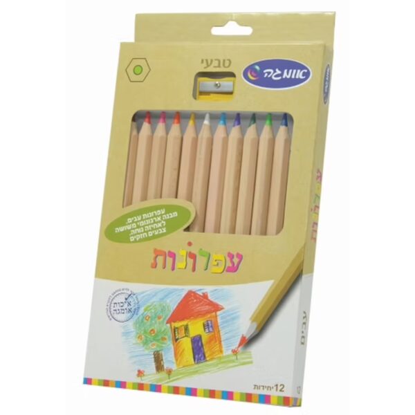 עפרונות צבעוניים משולשים עבים טבעי 12
